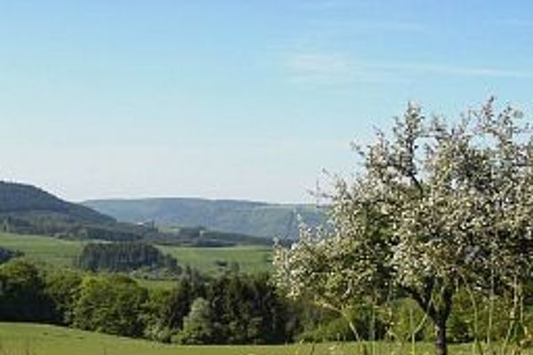 Haus Kylltal (Zendscheid)